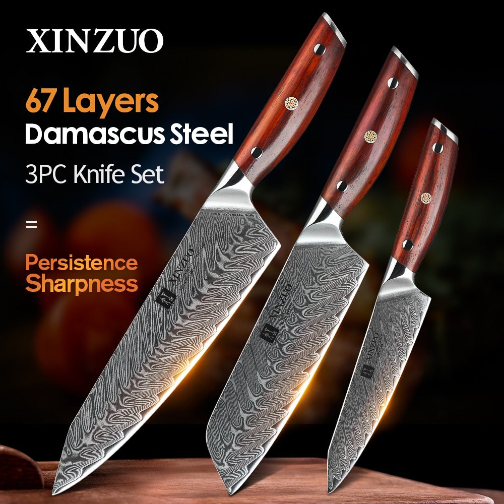 XINZUO B32 3 Pcs 67 Damascus Steel Knife Set Chef, Santoku