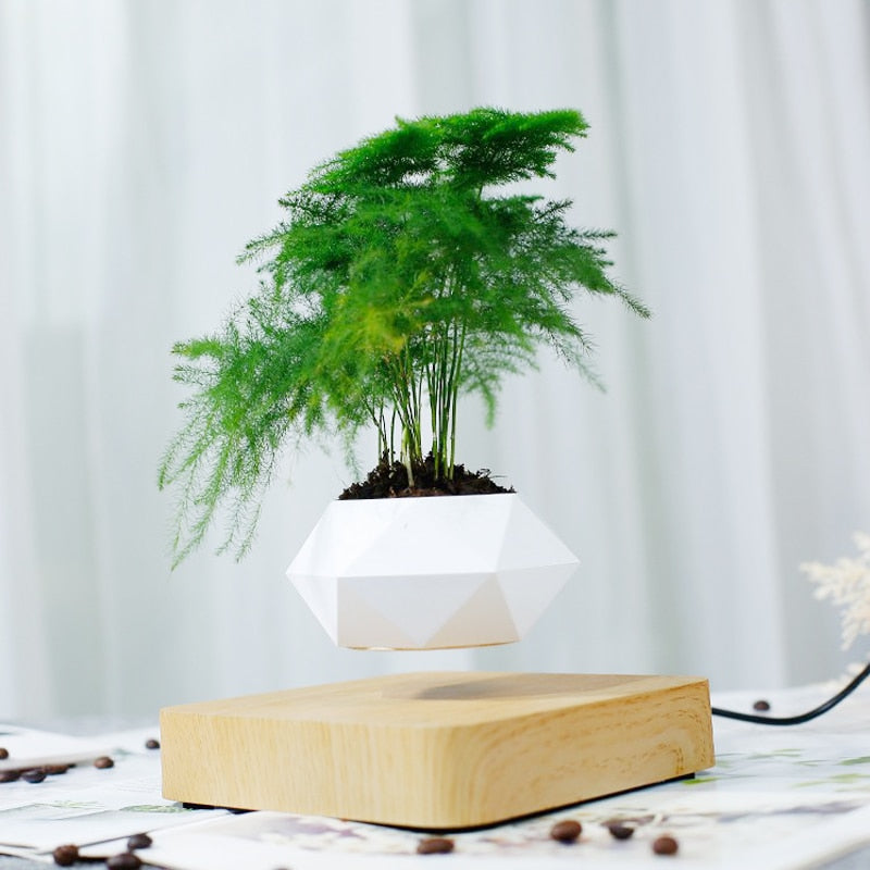 fast Shipping Levitating Air Bonsai Pot Rotation Planters Magnetic Levitation Flower Floating Potted Plant Desk Decor gift