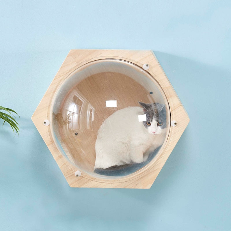 Wall-mounted Cat Climbing Frame Cat Tree Hexagonal Space Capsule Cat Wall Play House Cave Kitten Toy Bed DIY Pet Furniture